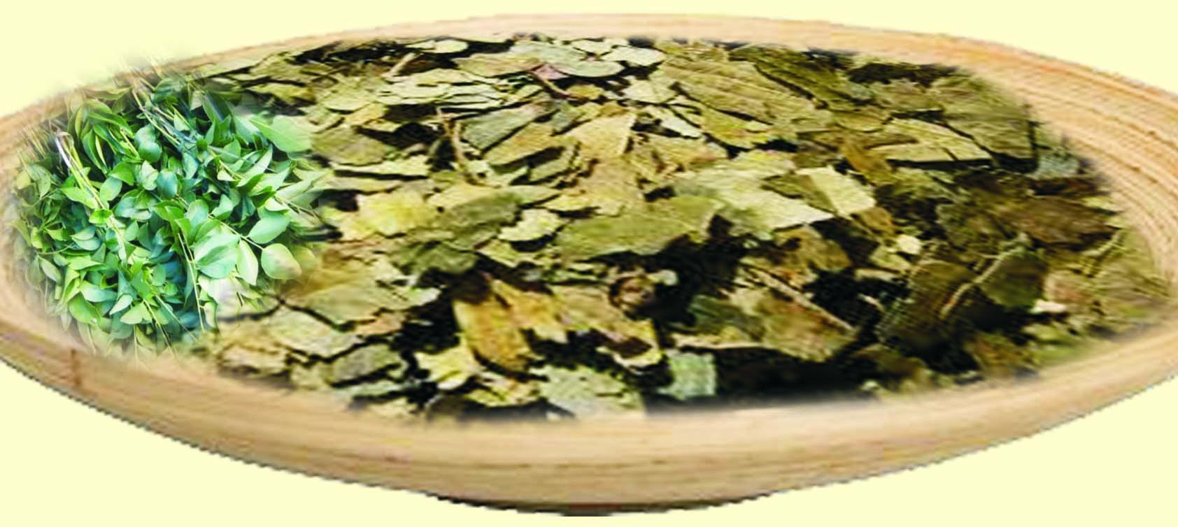 Dry Curry Leaves, Curry Powder