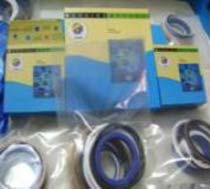 Cylinder Seal Kit for Komatsu