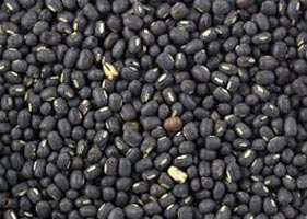 Organic Black Moong Beans, Packaging Type : Jute Bag