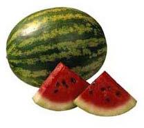 Organic fresh watermelon, Shelf Life : 3-5days