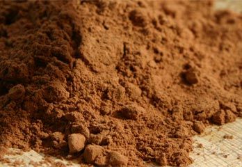 Alkalized Cocoa Powder