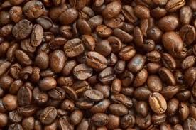 arabica coffee beans