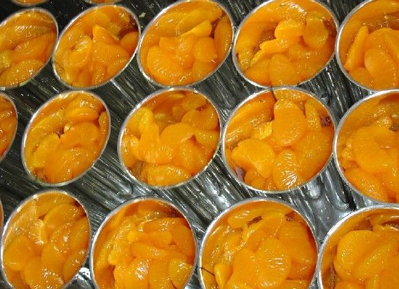 Canned Mandarin