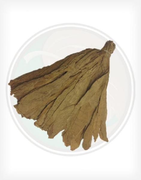 CT Premium Shade Leaf Wrapper (19 Inch)