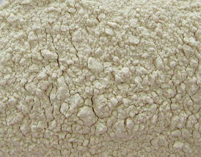 dehydrated garlic powder