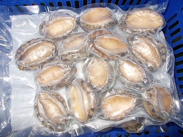 Frozen Abalone Shell