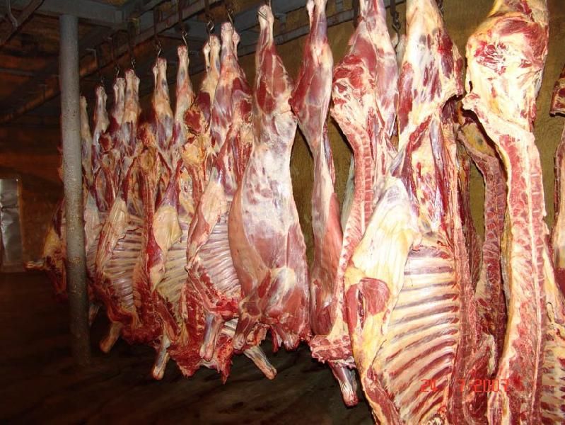Halal Goat Carcass