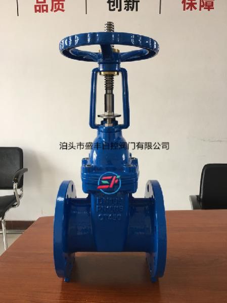 SZ41X Rising Stem Resilient Seated Gate Valve