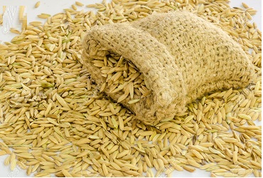 Soft Organic Paddy Rice, for Cooking, Human Consumption, Style : Dried, Fresh