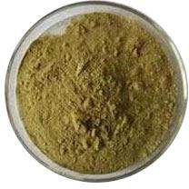 Andrographis Paniculata Extract