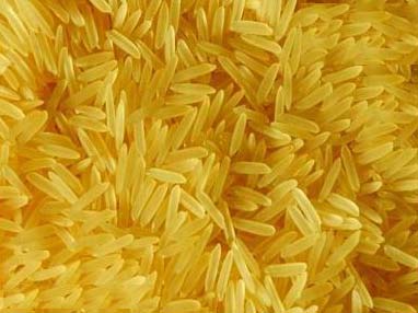 1509 Rice