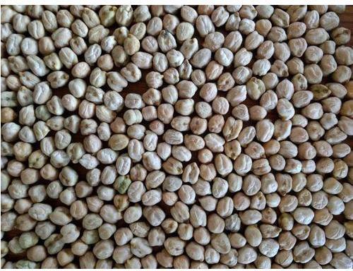 30 Kg Indian Chick Peas