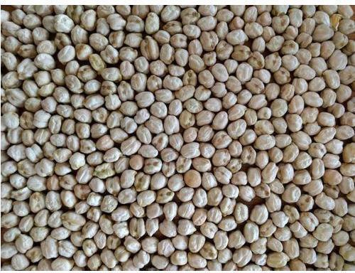 Dried Solid Chick Peas, Packaging Size : 30 Kg