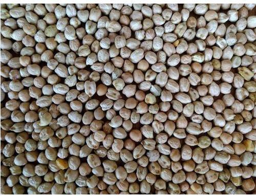 Natural Dried Chick Peas