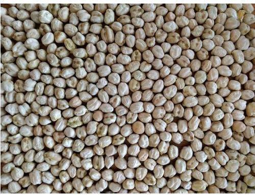 Whole Dried Chick Peas, Packaging Size : 30 Kg