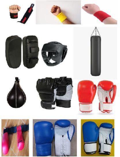 Sparring Gear