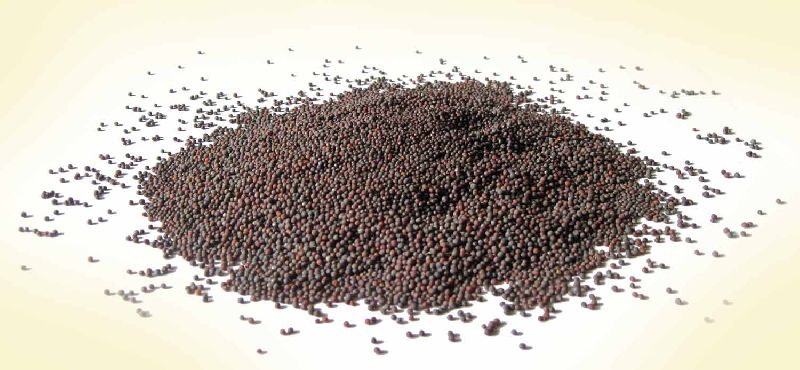 Mustard Seeds