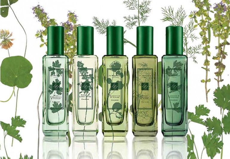 Herbal Fragrances
