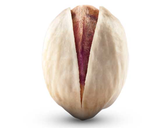 Fandoghi Pistachio Nuts