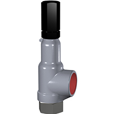 Process Safety Relief Valve