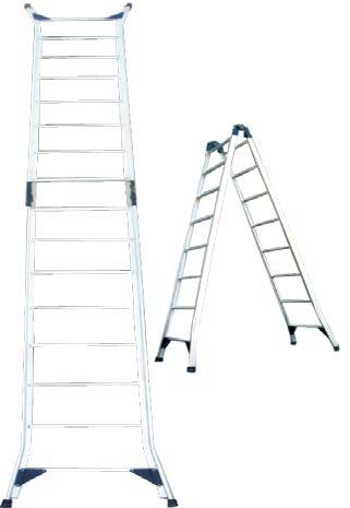 dual purpose ladder