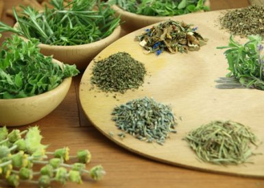 Botanical Herbs Buy Botanical Herbs In Cimahi Indonesia From CV Green ...