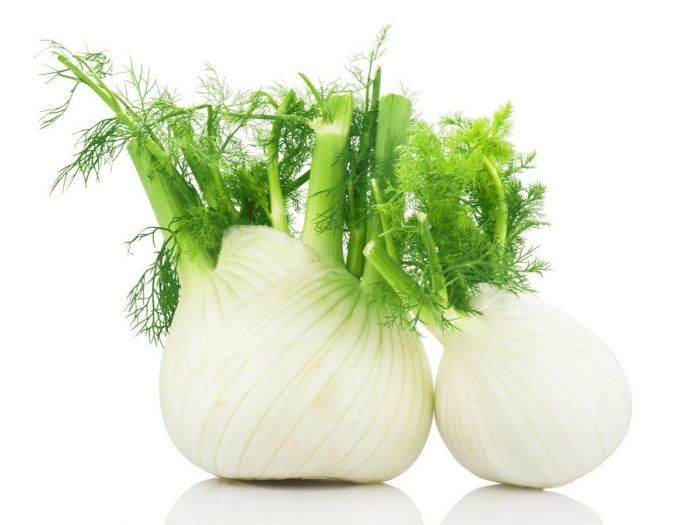 Fennel Bulb