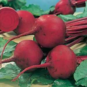 Beet root seeds