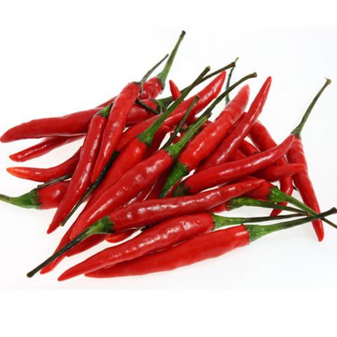 Organic Fresh Red Chilli