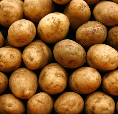 Organic fresh potato, for Cooking, Feature : Floury Texture, Good In Taste