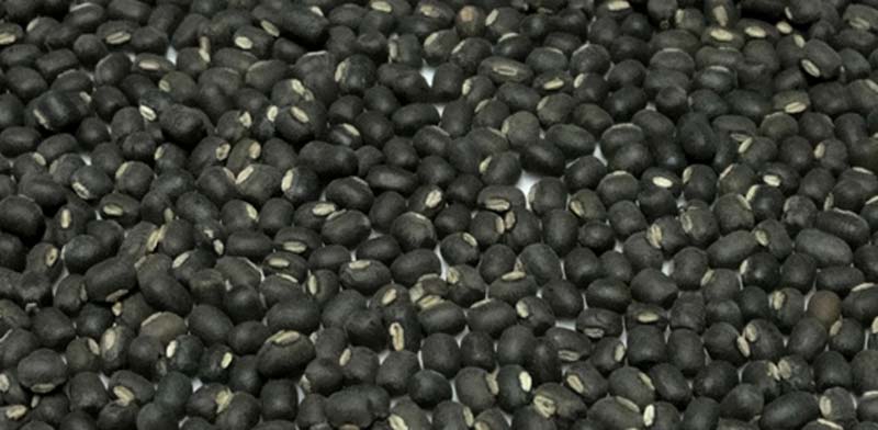 Черный грамм. Bean Mix Black gram. Бобы черная Жемчужина 10 гр/10. Бобы черные бриллианты 15шт. Black gram Green.