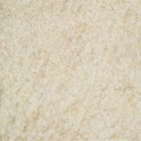 dehydrated white onion minced