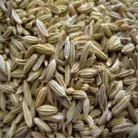 fennel seeds
