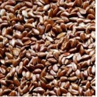 Flaxseeds (Linseeds)