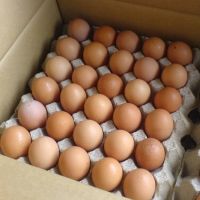 Fresh Brown Table Eggs And Chicken Eggs