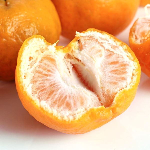 fresh orange