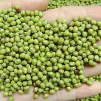 Green Mung Bean And Chick Peas