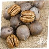 High Quality Pecans