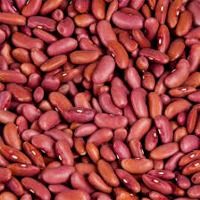 light red kidney beans