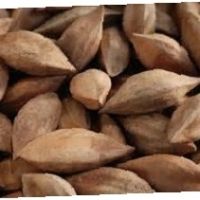 Quality Grade A Pili Nuts
