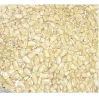 White Corn (Maize)