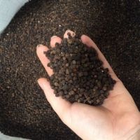 Whole Dried Pepper Seed