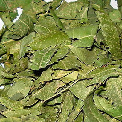 Dried Neem Leaves, for Used to control pests, Color : Green