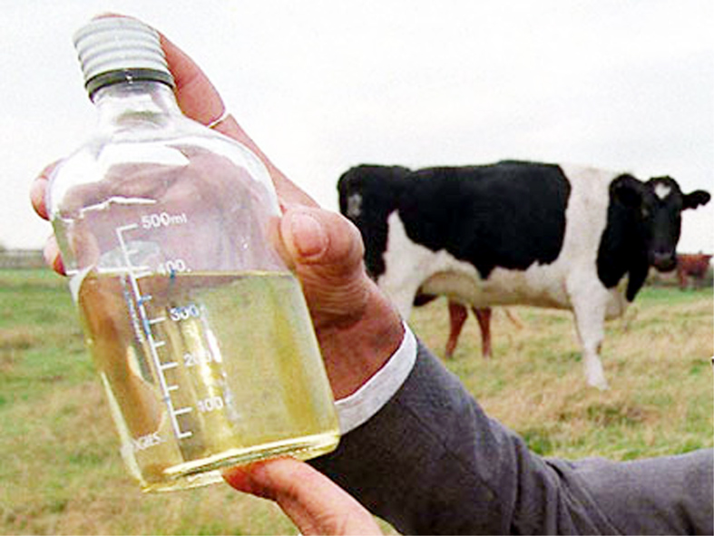 Cow Urine Based Biofertilizer