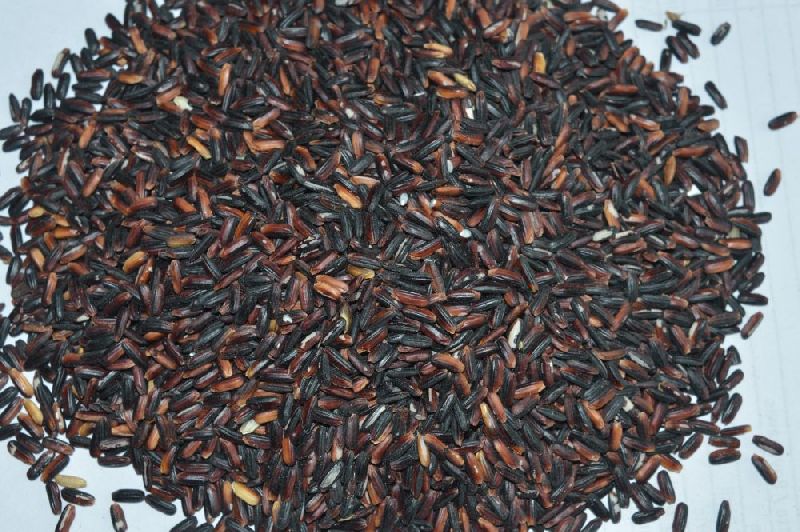 Organic black rice, Packaging Type : Packed In PP Bags