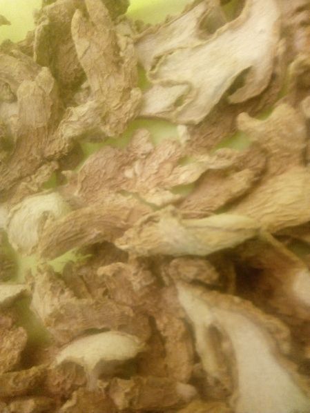 Dried Split Ginger
