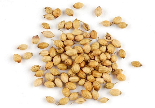 Coriander seeds, Form : Powder, Solid