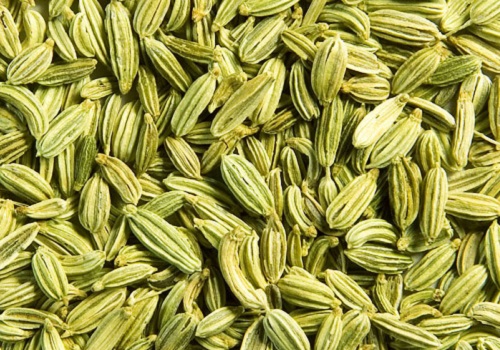 Fennel Seeds, Form : Powder, Solid