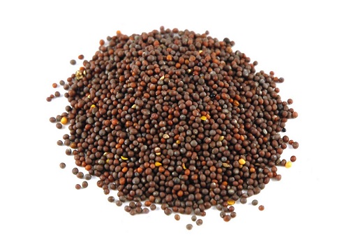 Mustard Seeds, Form : Powder, Solid