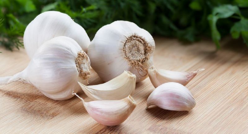 Organic fresh garlic